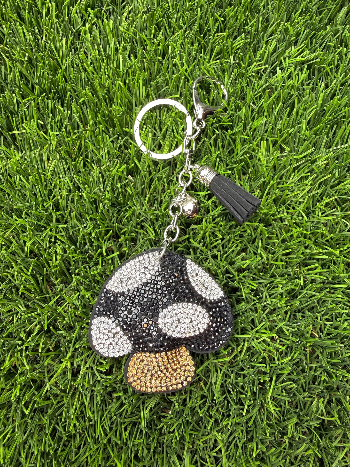 Black magical mushroom