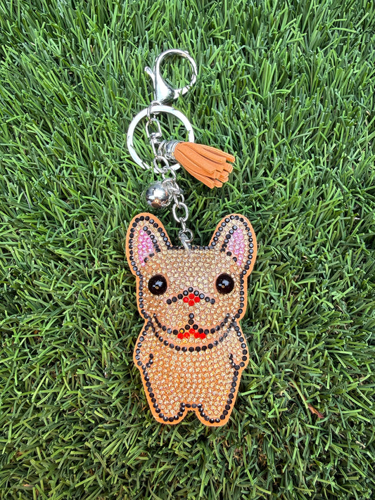 Brown French bulldog