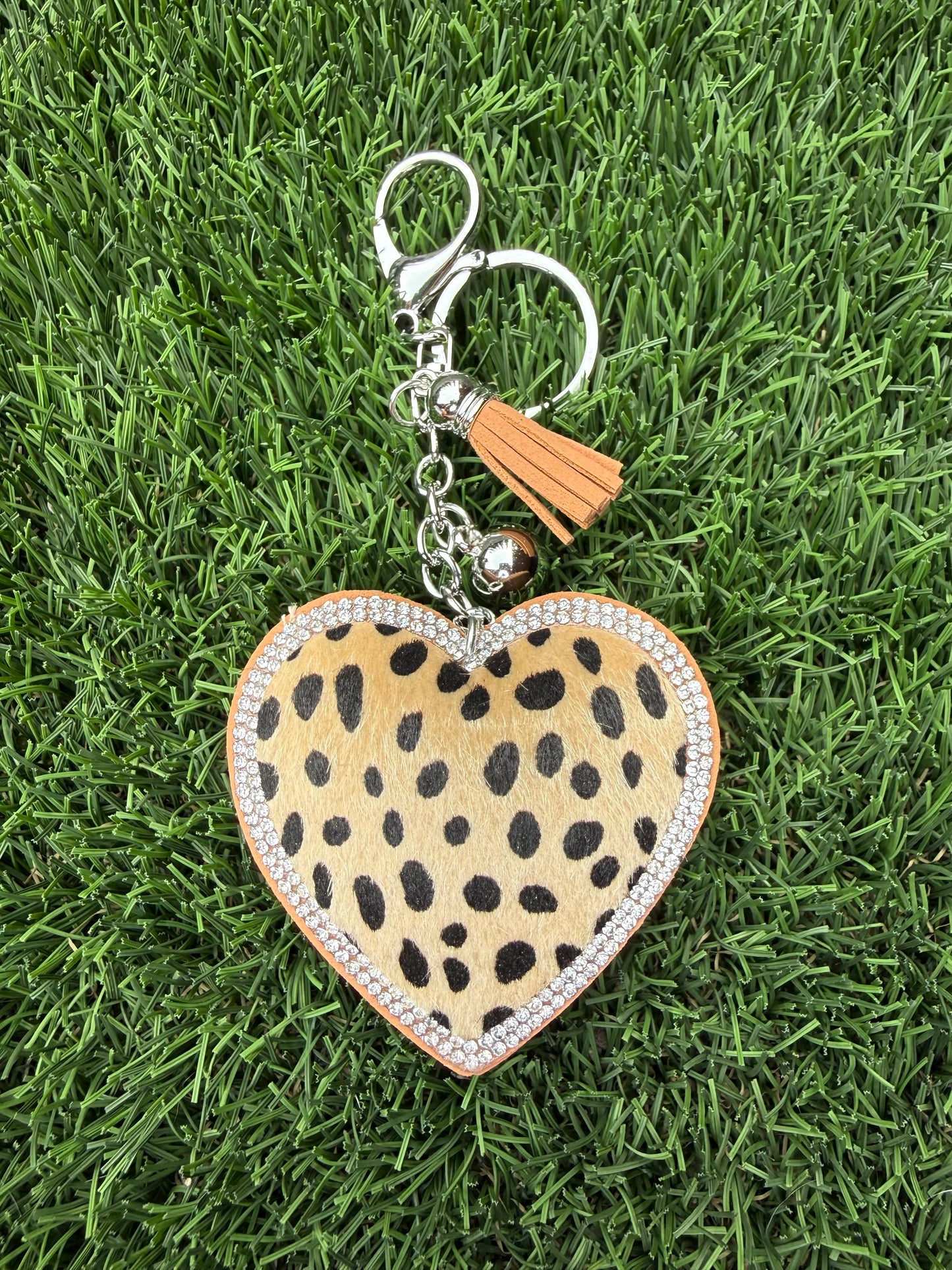 Cheetah heart